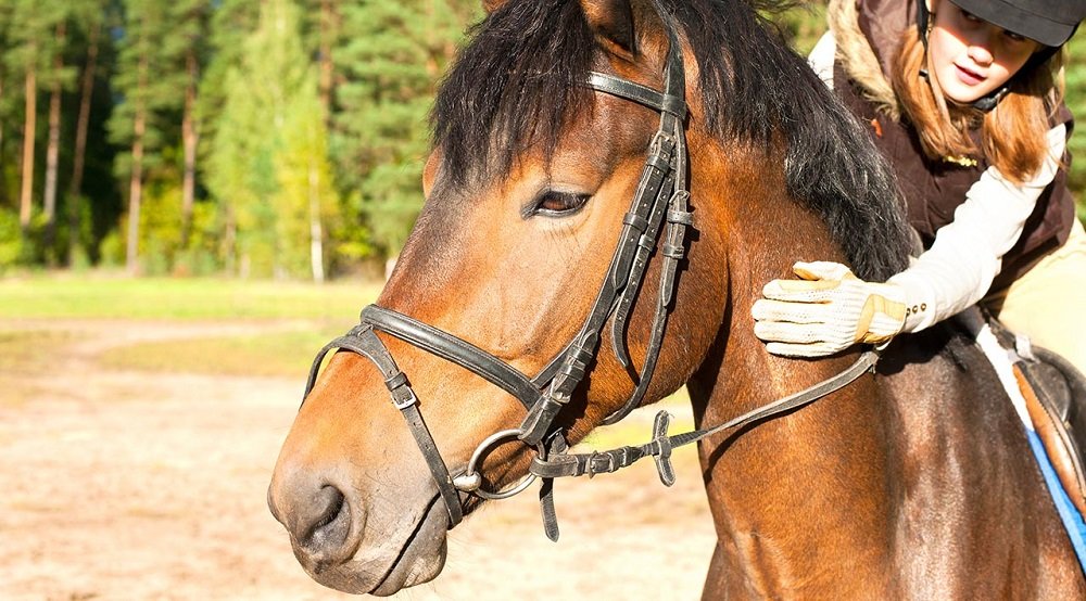 Aparat KODAK FZ152 Czarny stabilizacja obrazu widok koń dziewczynka
