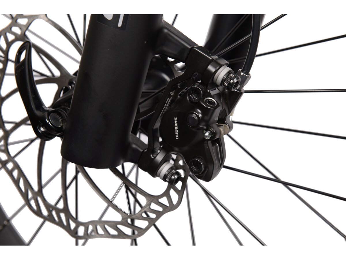 Rower elektryczny LOMBARDO Aurelia U16 20 cali Zielony mat sklep