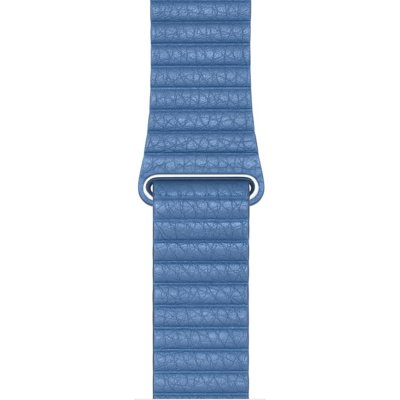 Pasek APPLE do Apple Watch (42/44 mm) Chabrowy Pasek APPLE do Apple Watch (42/44 mm) Chabrowy