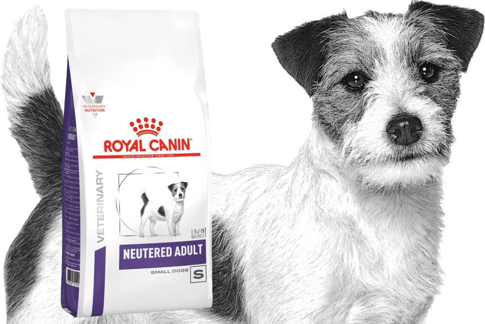  CANIN プロ HT 42d small dog 8kg Karma-dla-psa-ROYAL-CANIN-