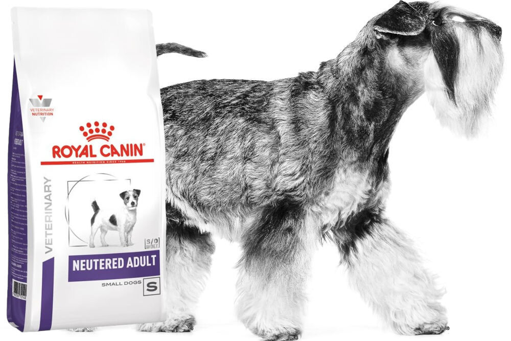  CANIN プロ HT 42d small dog 8kg Karma-dla-psa-ROYAL-CANIN-
