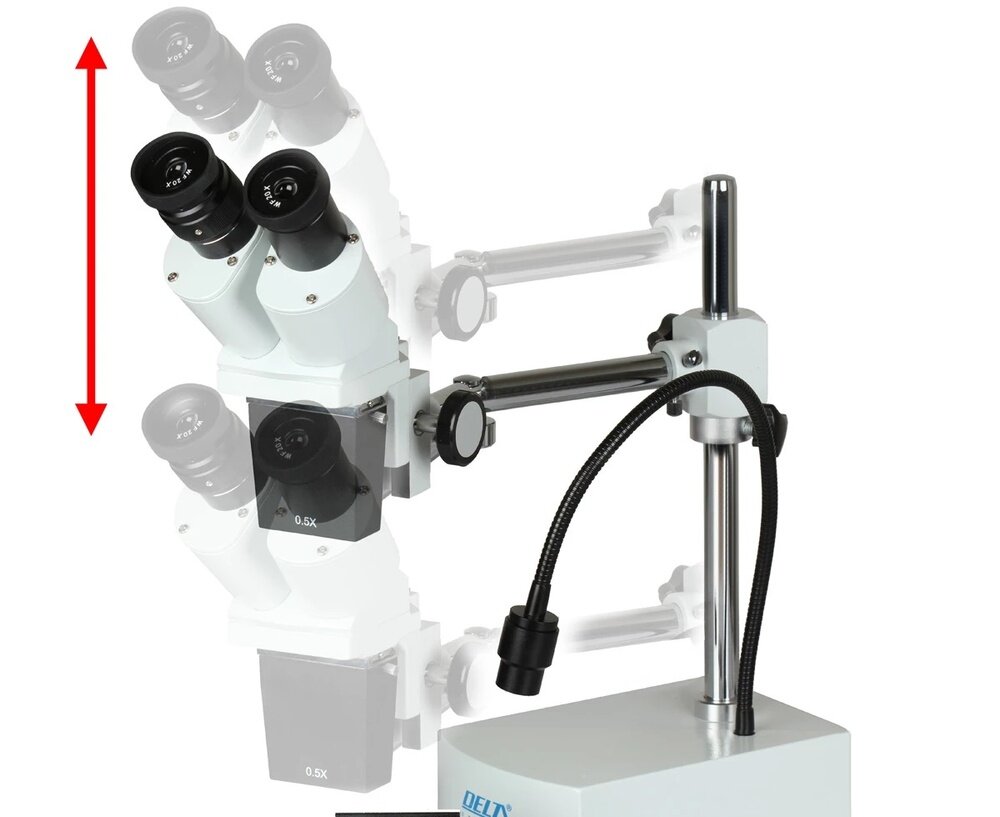 Mikroskop DELTA OPTICAL Discovery L Obserwacja