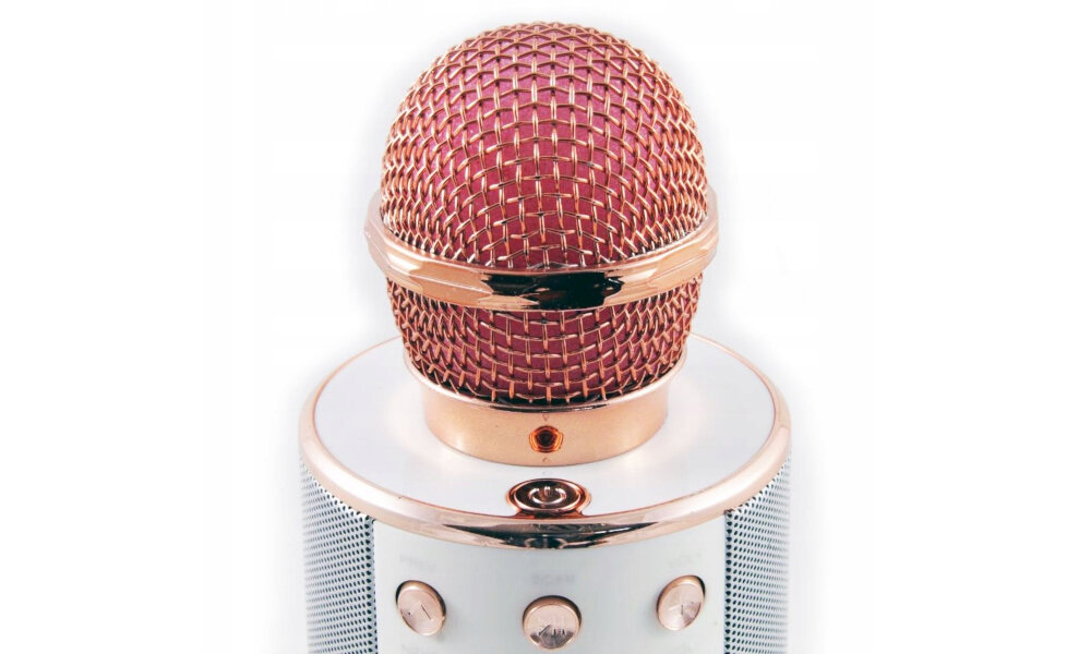 Mikrofon XREC WS858 mikroofn dzialanie 