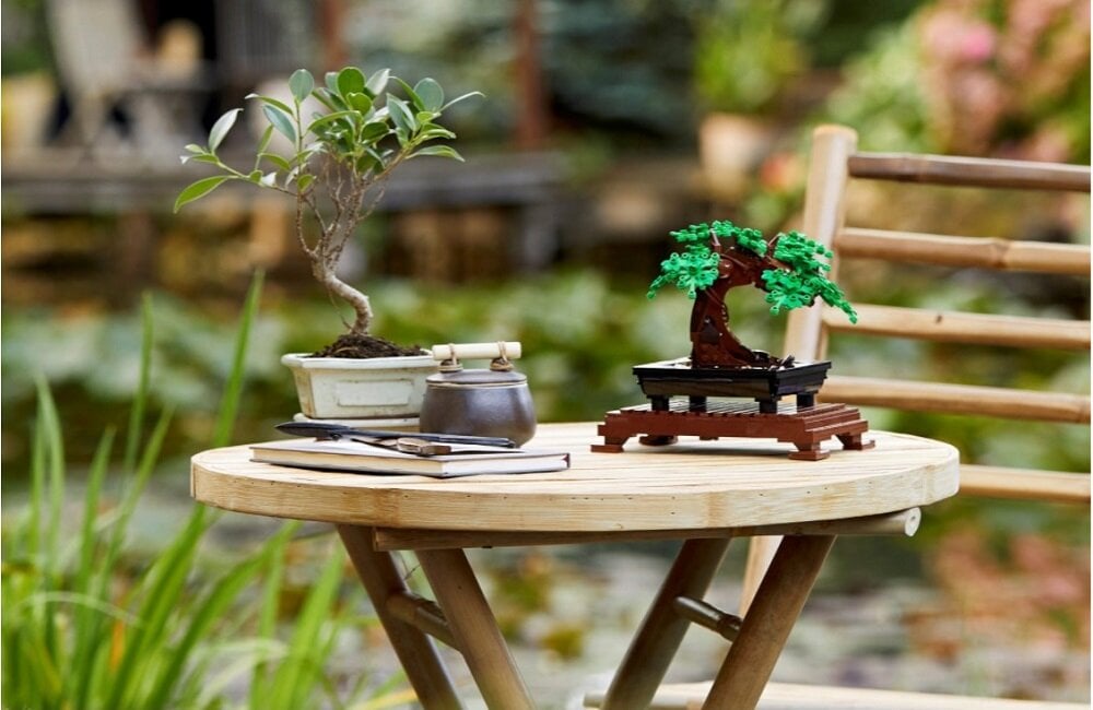 LEGO Creator Drzewko bonsai 10281 Wspaniała ozdoba do biura lub do domu