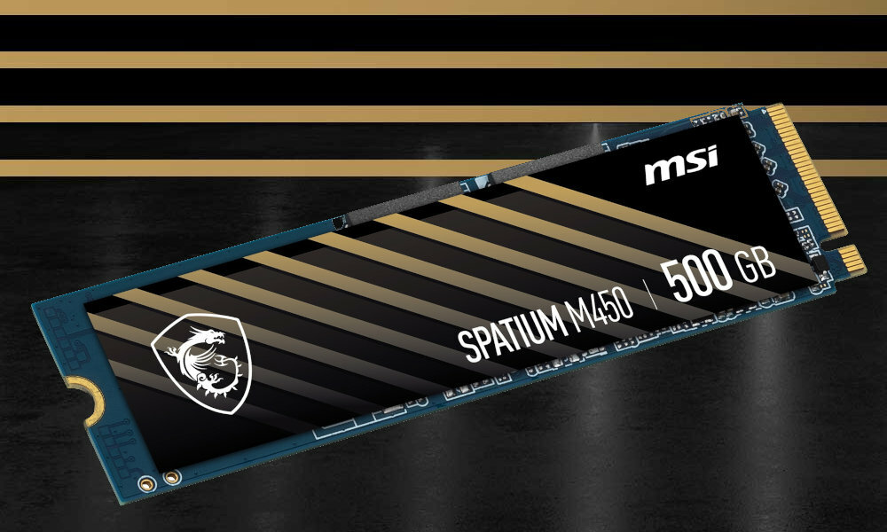 MSI Spatium M450 500GB SSD srodek