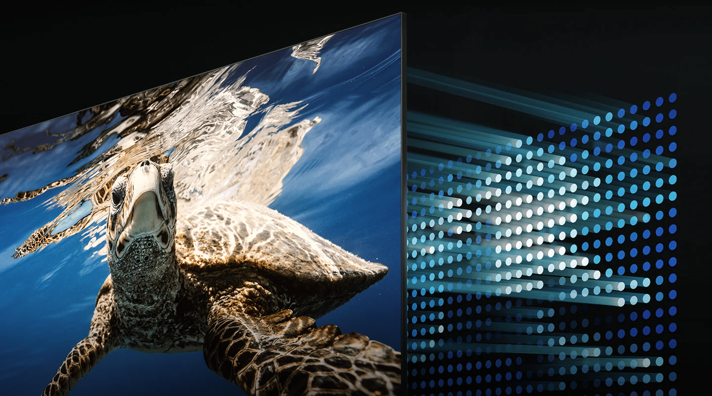 Telewizor QLED pokazuje płynącego żółwia z precyzyjnym podświetleniem LED, wyświetlając głębokie czernie i czyste biele. Q80BATXXH