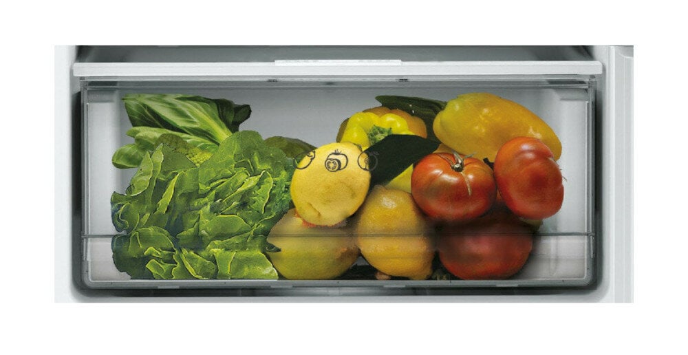 LODÓWKA CANDY CCE3T618ES szuflada na warzywa i owoce