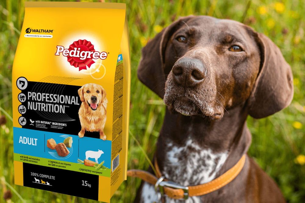 Karma dla psa PEDIGREE Professional Nutrition Adult Jagnięcina 15 kg dawkowanie analiza sklad
