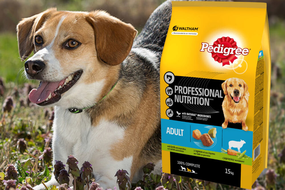 Karma dla psa PEDIGREE Professional Nutrition Adult Jagnięcina 15 kg witaminy pierwiastki aminokwasy