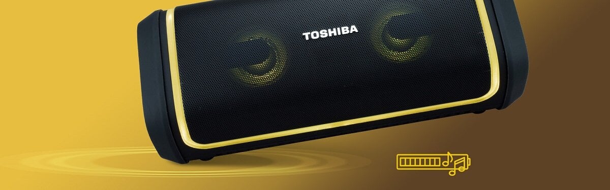 Głośnik mobilny TOSHIBA IP67 akumulator litowo-jonowy oświetlenie LED Przenośny