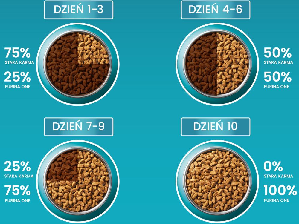 Karma dla kota PURINA ONE Bifensis Łosoś z pszenicą 800 g dodatki analiza