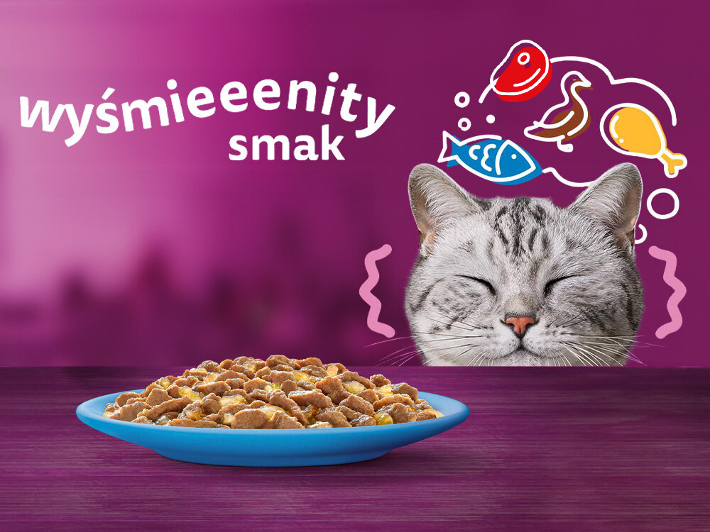 Karma dla kota WHISKAS Senior Drobiowa Uczta Kurczak z indykiem (4 x 85 g) Korzyści z podawania karmy Whiskas