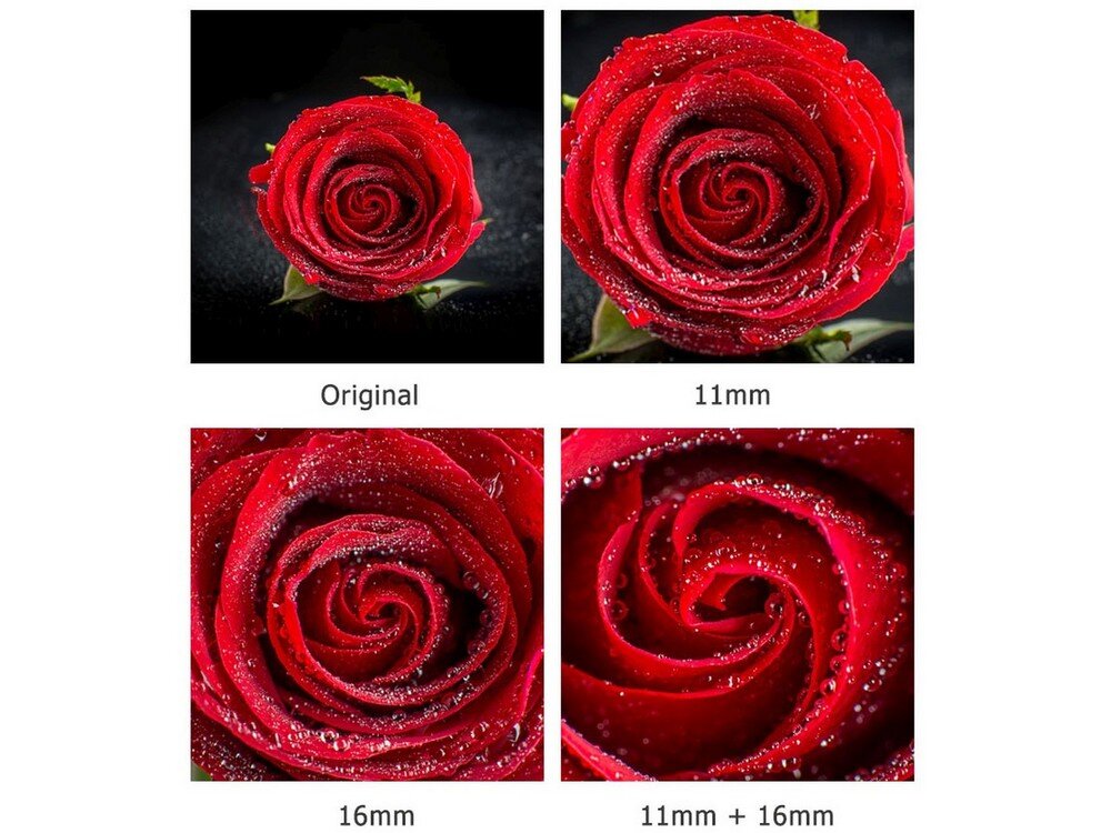 Pierścienie pośrednie JJC Makro Af do Canon EOS RF-R-RP  przykładowe zdjęcia   