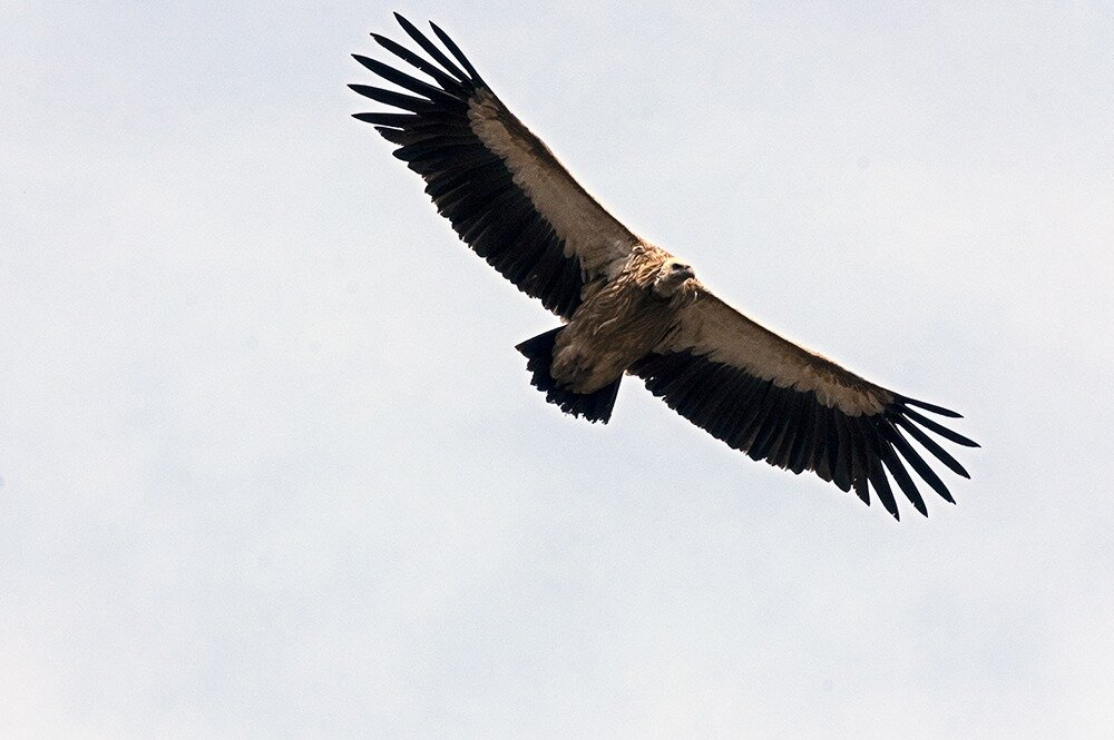 Obiektyw FUJIFILM XF 70-300mm F-4-5.6 R LM OIS WR  stabilizacja