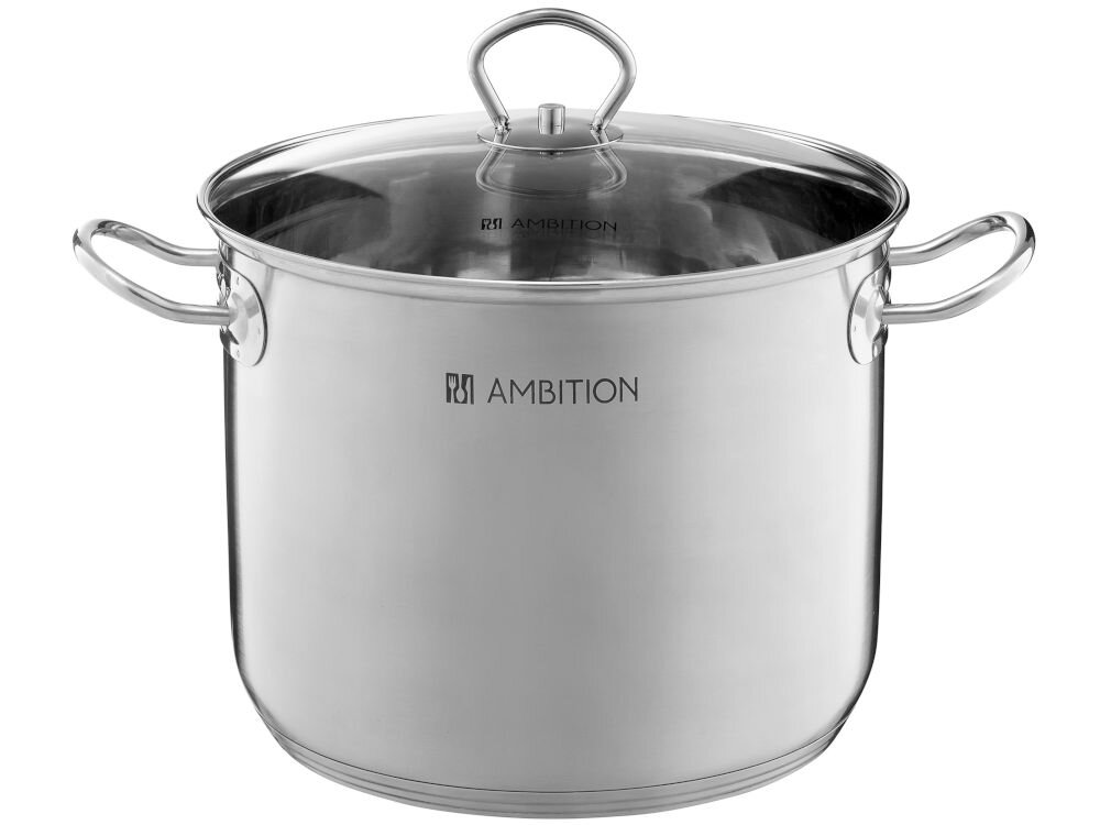 Garnek AMBITION Acero 60827 16 L garnek srebrny pokrywka uchwyty białe tło średnica 30 cm pojemność 16 litrów solidność stylowy design wysoka jakość stali nierdzewnej odporność na korozję matowe wykończenie elegancki wygląd współczesne i klasyczne kuchnie profesjonalny estetyczny 