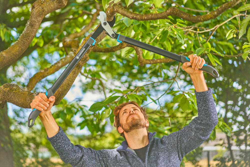 Nożyce do gałęzi GARDENA EnergyCut Pro L 12051-20 ogród drzewa osoba przycina gałęzie na drzewie długość 750 mm odpowiedni zasięg przy pracy wśród gęstych gałęzi dwuostrzowa konstrukcja ergonomiczny uchwyt lekka aluminiowa budowa