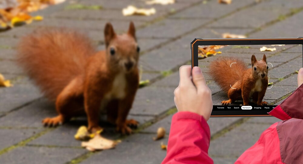 Tablet BLACKVIEW Active 10 Pro Google Lens zdjęcie wiewiórki  