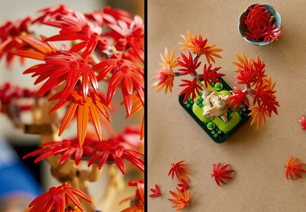 LEGO 10348 Botanicals Klon palmowy bonsai  prezent na parapetówkę, walentynki, Dzień Matki, Dzień Ojca 24 cm wysokości, 22 cm szerokości i 26 cm głębokości
