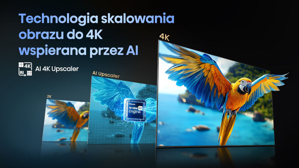 Telewizor HISENSE 50E8Q - Obraz zbliżony do 4K, AI 4K Upscaler, telewizor pod skosem, papuga, ocean z wyspą