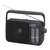 Radio PANASONIC RF-2400D Analogowe Przenośne