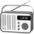 Radio ELTRA Oliwia Cyfrowe Przenośne Biało-szary