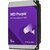 Dysk WD Purple Surveillance 1TB HDD