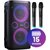 Power Audio HISENSE Party Rocker One Plus, 300W,  BT,  Bateria 15 godzin,  Dwa mikrofony w zestawie,  Ładowarka indukcyjna