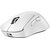 Mysz LOGITECH G Pro X Superlight 2 DEX Biały