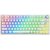 Klawiatura SAVIO Phenix White Gateron Red Pro Pudding