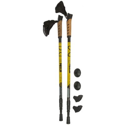 Kije trekkingowe Nordic