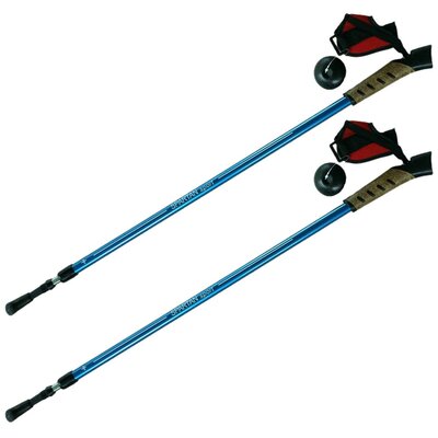 Kije trekkingowe Nordic