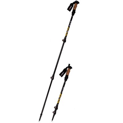 Kije trekkingowe Nordic